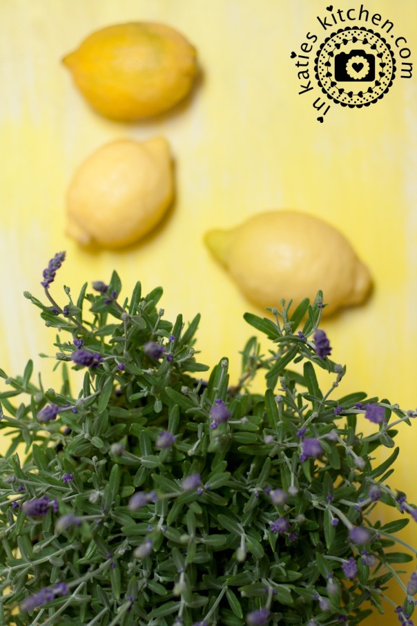 Lavendel_Zitronen