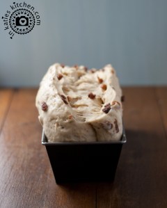 Rosinenbrot_Teig