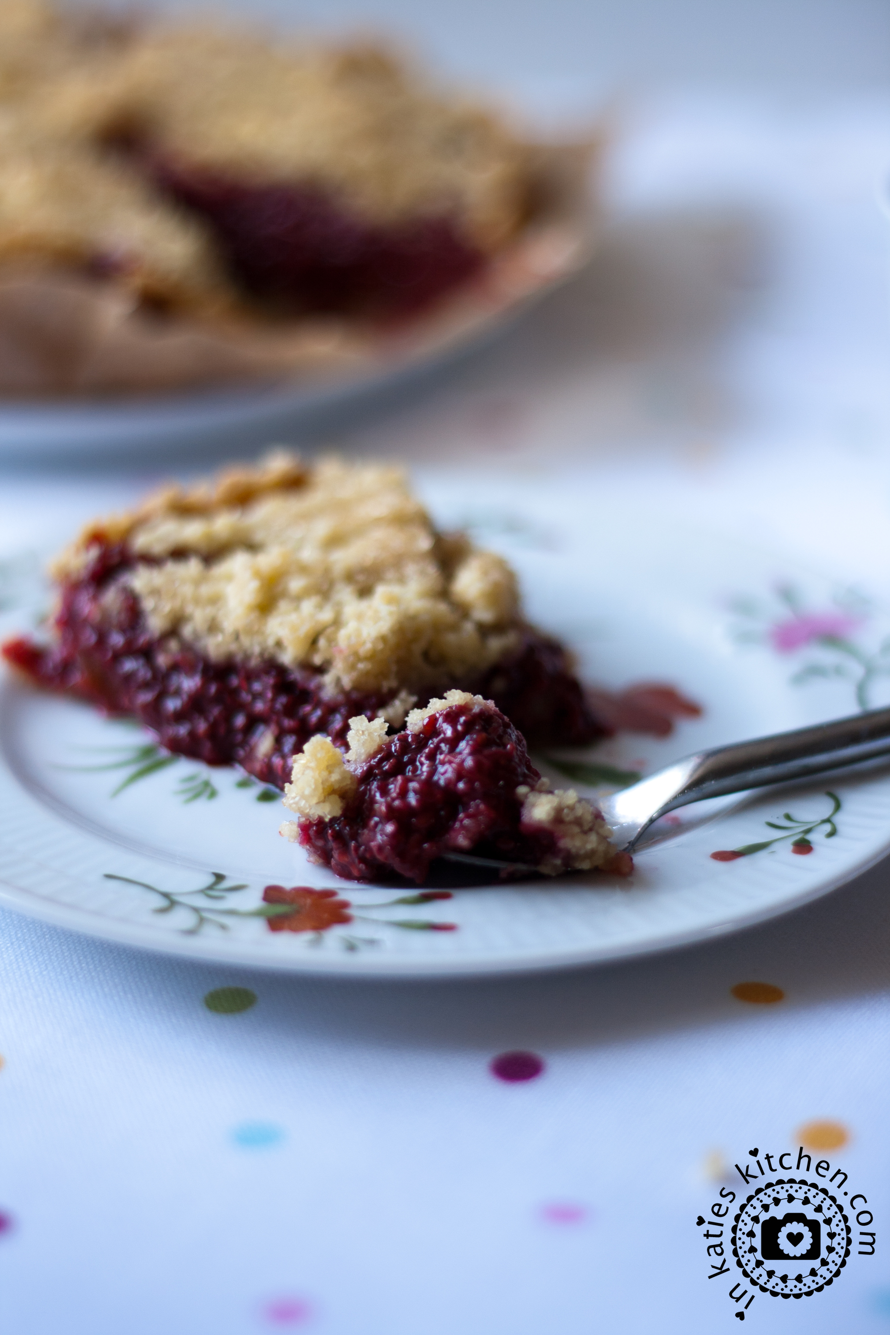 Rhabarber_Chia_Kuchen