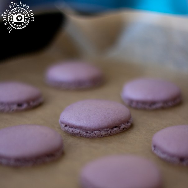 macarons